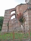 IMG_3435.jpg (59kb)