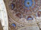 IMG_3560.jpg (62kb)