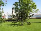 IMG_3566.jpg (69kb)