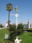 IMG_3568.jpg (43kb)