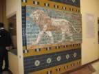 IMG_3624.jpg (43kb)