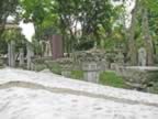 IMG_3673.jpg (60kb)